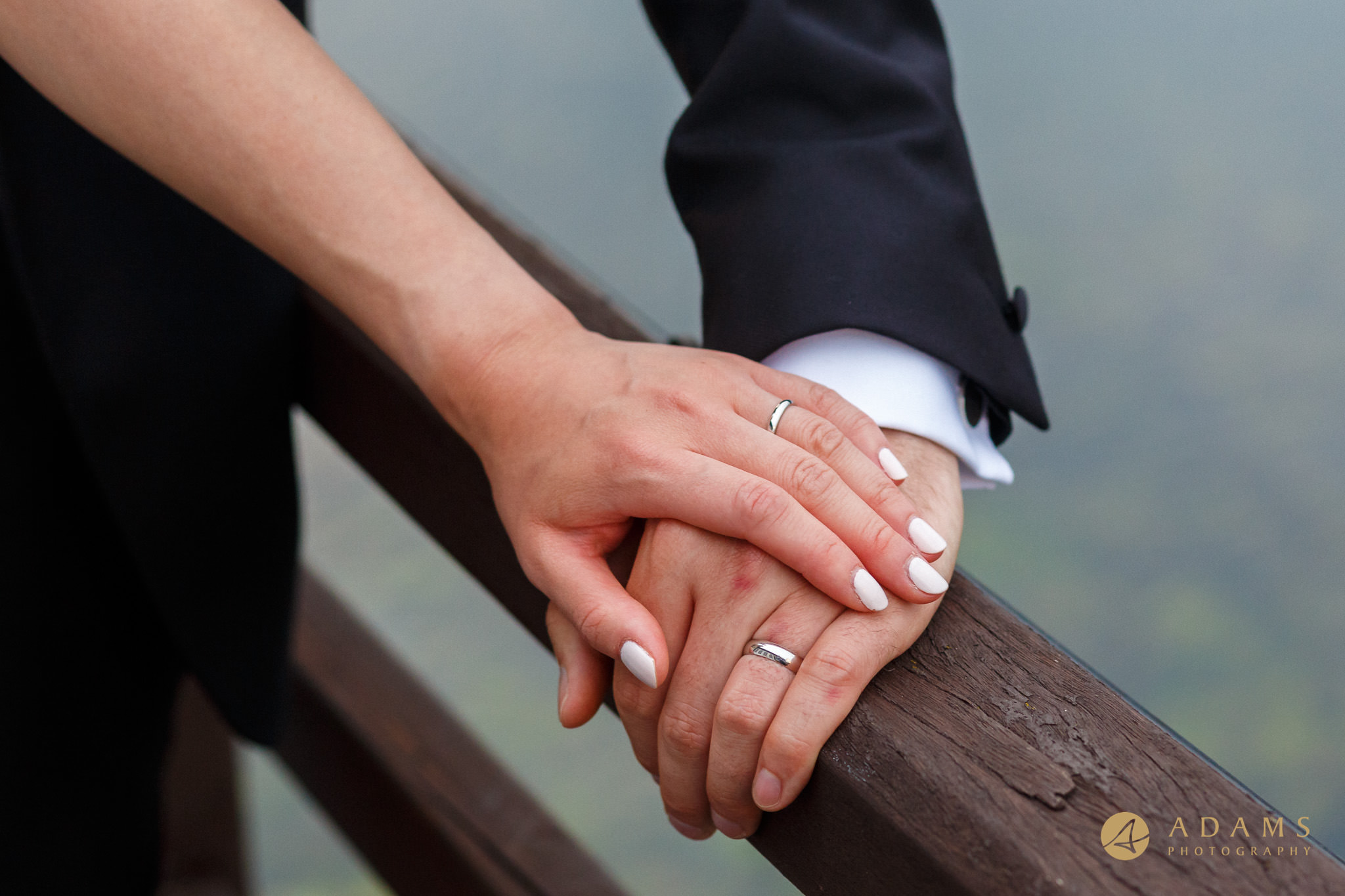 bride and groom hands showing the rings