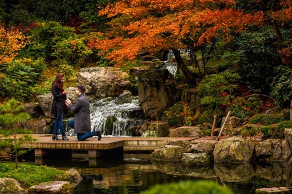 the moment of surprise proposal in Kyoto Gardens London