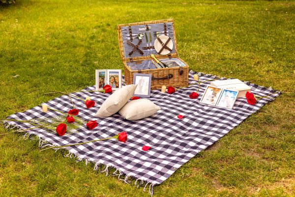 Picnic set up for London proposal