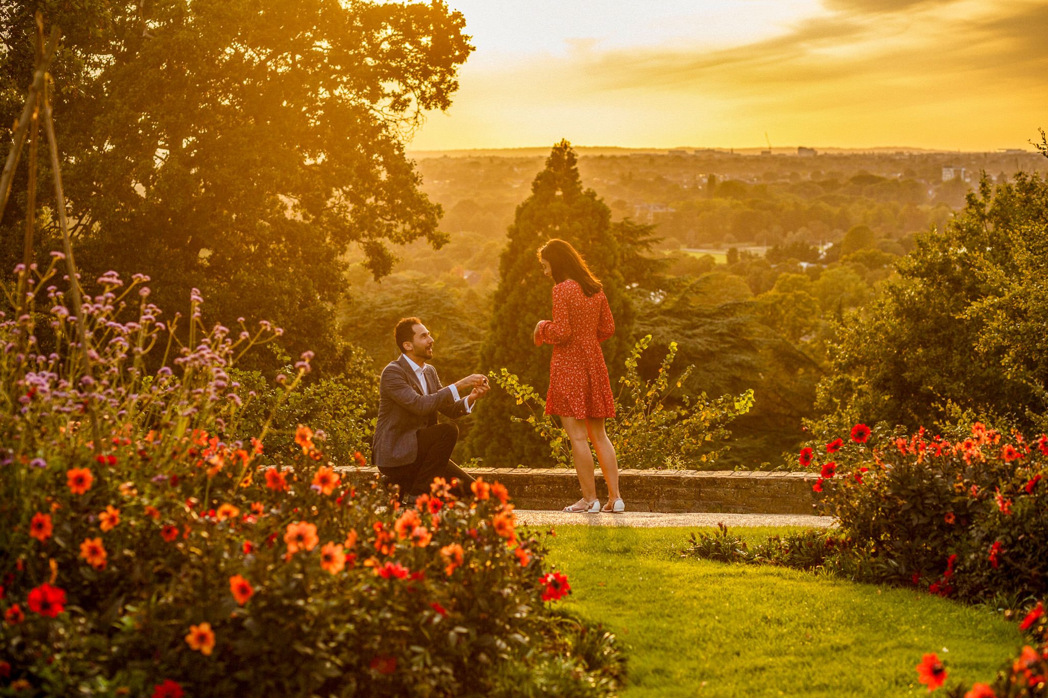 Wedding Proposal in Richmond Park