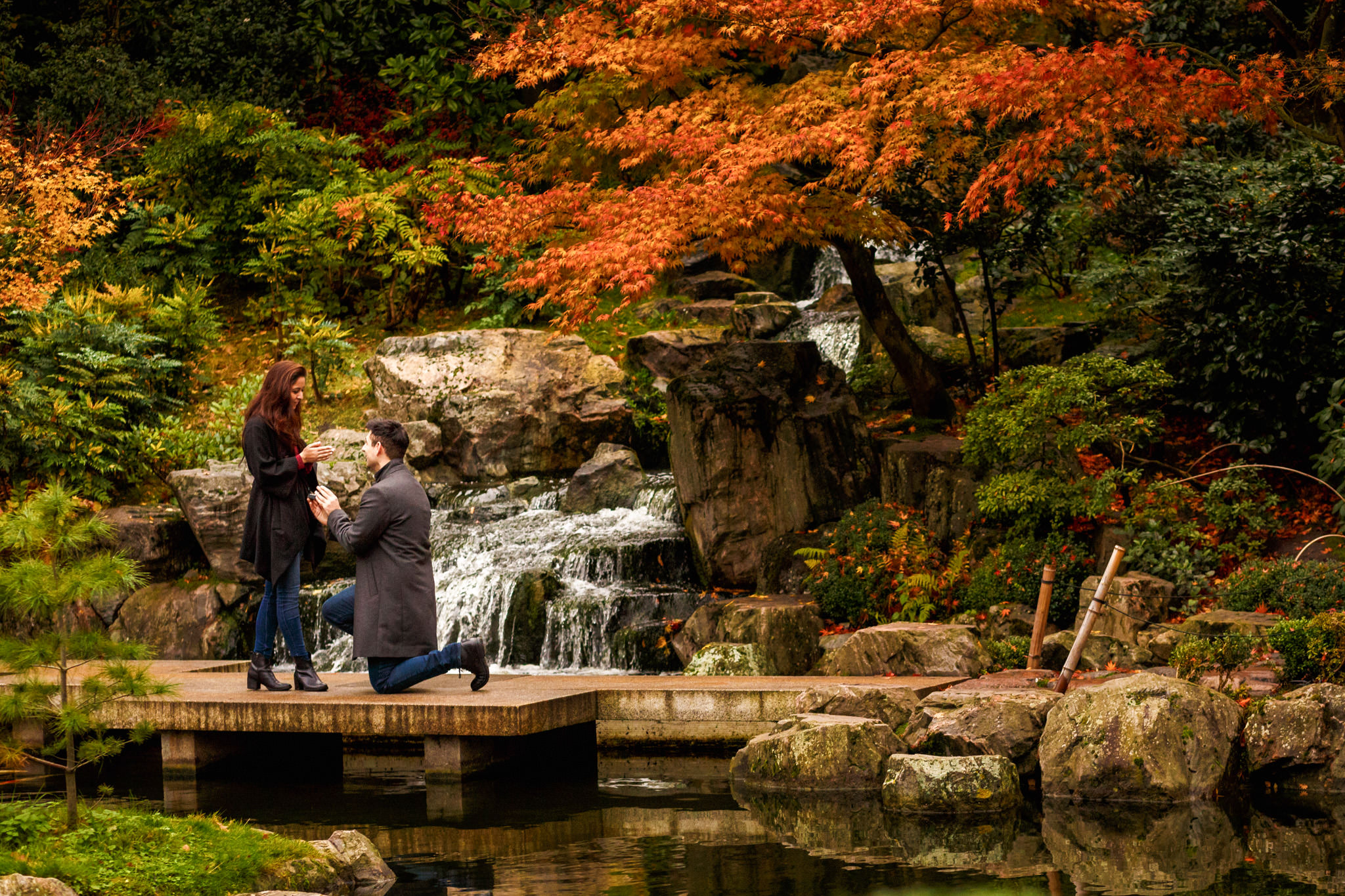 Top London Proposal Places Kyoto Garden in Holland Park man poping the questions