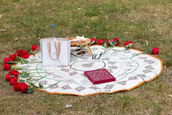 Picnic setup for a marriage proposal