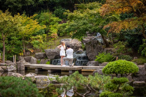 Early morning proposal at Kyoto gardens