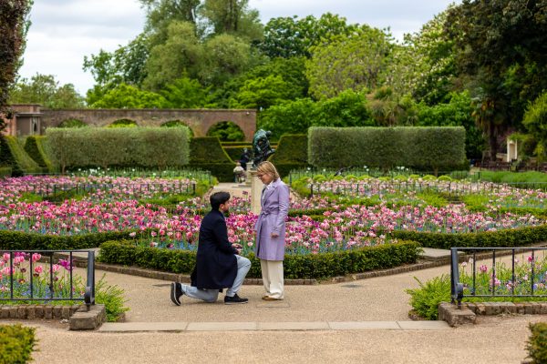 Marriage proposal at Dutch Gardens in Holland Park