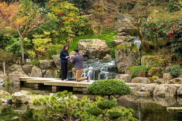 Moment of proposal at Kyoto Gardens at the small bridge and waterfall